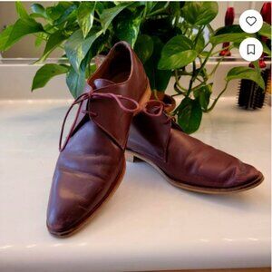 Everlane The Modern Oxford size 8.